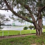 4362-Lagoa-dos-Freitas-2-940x529-1