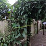 Jardim-Angelica-34-940x529-1