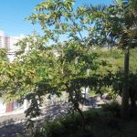 Vera-Cruz-06-940x529-1