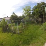 DCIM100GOPROGOPR0537.