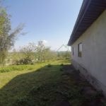 DCIM100GOPROGOPR5338.