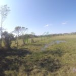 DCIM100GOPROGOPR5351.