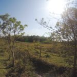 DCIM100GOPROGOPR5358.
