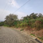 Image00005
