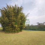 Image00014