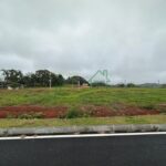 Image00004
