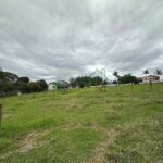 Image00012