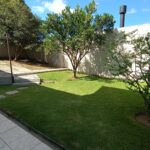 IMG_20230311_145926485