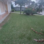 IMG_20230425_174628765