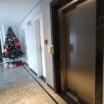 IMG_20231211_120404827