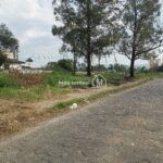 IMG_20240615_110634182