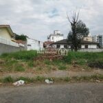 IMG_20240615_110647429