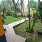 IMG_20240206_174852218