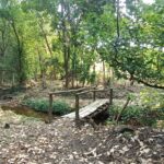 IMG_20240209_165703054