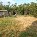 IMG_20240209_170037301 (1)