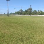 IMG_20240211_103020725
