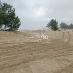 IMG_20240218_084731735