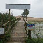 IMG_20240218_084910004