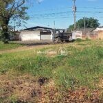 IMG_20240331_085048948