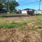 IMG_20240331_085245497