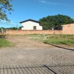 IMG_20240331_085337938