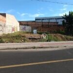 IMG_20240331_163102950