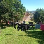 IMG_20240421_114034747