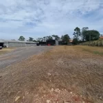 01 (11)