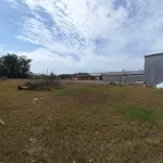 01 (13)
