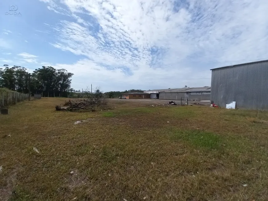 01 (13)