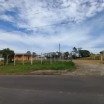 01 (6)