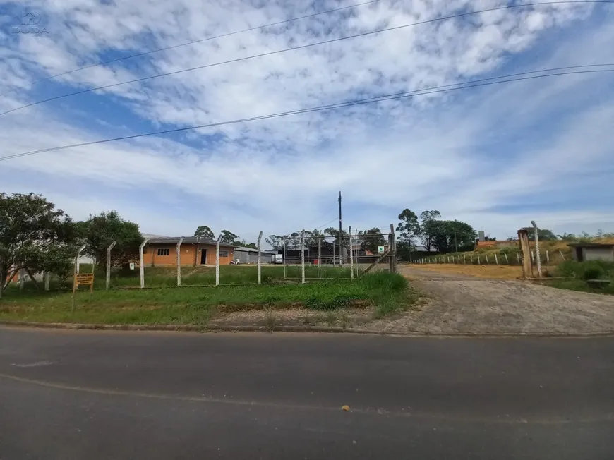 01 (6)