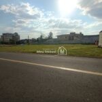 IMG_20240615_101215838