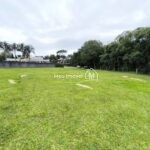IMG_20260429_104412