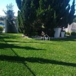MD_iqsj59_35169613ca90000789_o