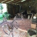 IMG-20240611-WA0038