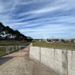 IMG-20240716-WA0001