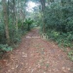 IMG_20240704_135845254