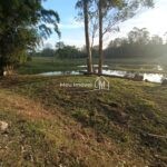 IMG_20240720_165446557