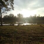 IMG_20240720_165502784