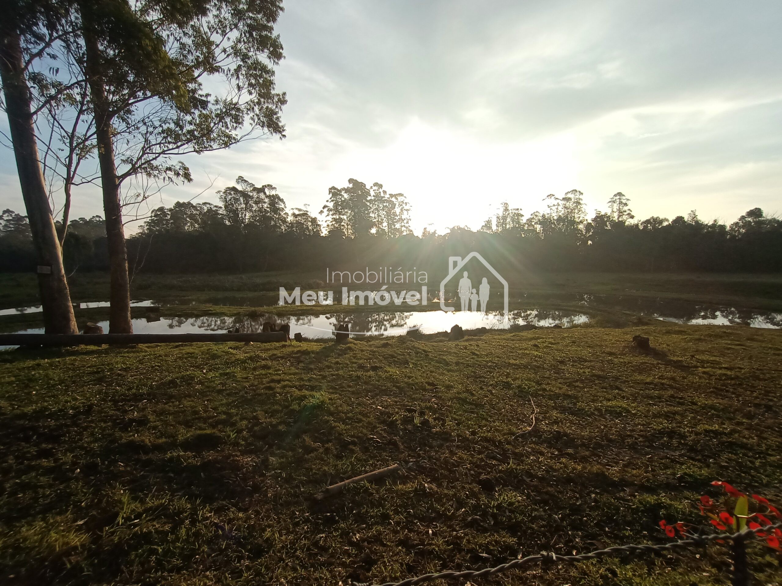 IMG_20240720_165502784