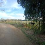 IMG_20240720_165609857
