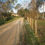 IMG_20240720_170115090