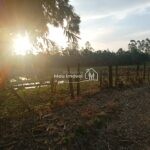 IMG_20240720_170348404