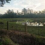 IMG_20240720_171205011