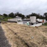 IMG_20241018_174106