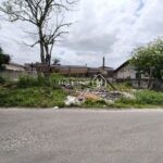 IMG_20241020_101821