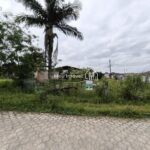 IMG_20241020_110556