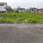IMG_20241118_175243