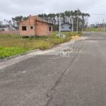 IMG_20241118_175250